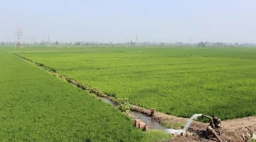 تحذير للمزارعين.. طقس الثلاثاء ينذر بظاهرة جوية تؤثر على نمو المحاصيل ومنتجاتها